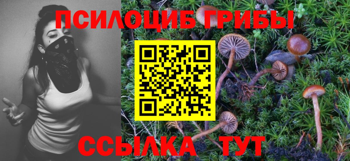 Рославль  Галлюциногенные грибы Cubensis  даркнет сайт  Вход с VPN 