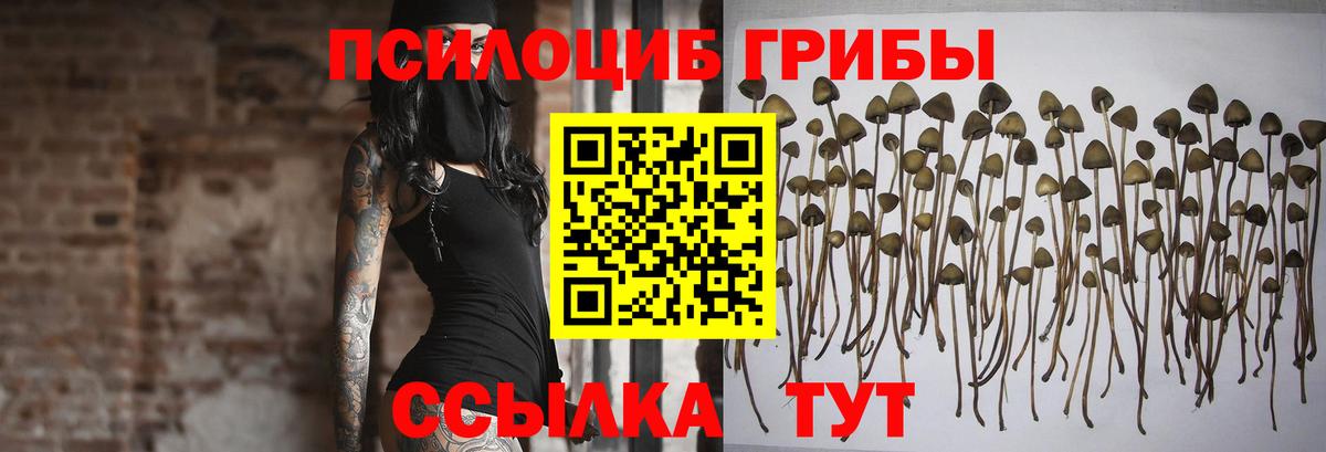 Галлюциногенные грибы прущие грибы Рославль